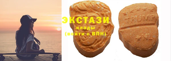 дмт Богородицк