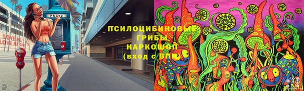 дмт Богородицк