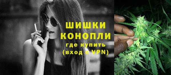 гашик Богородск