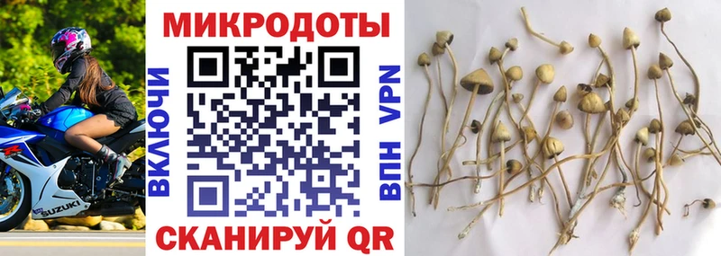 где найти наркотики  mega сайт  Галлюциногенные грибы Psilocybe  Обь 