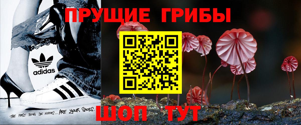 Обь  Галлюциногенные грибы Cubensis  Вход с VPN  Галлюциногенные грибы Magic Shrooms 